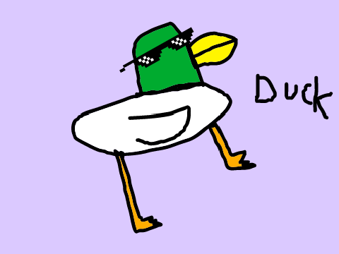 duck