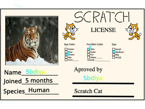 My Scratch License! 