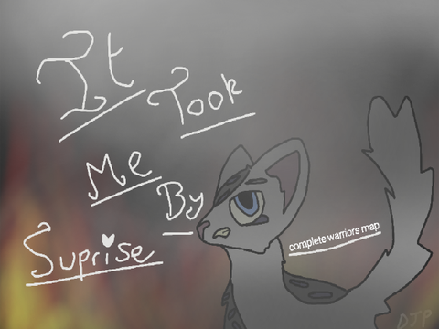 It took me by surprise thumbnail entry