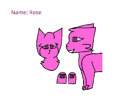 Mist cameos Rose