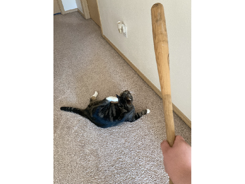 POV: you are the Batter