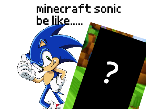 minecraft sonic be like.