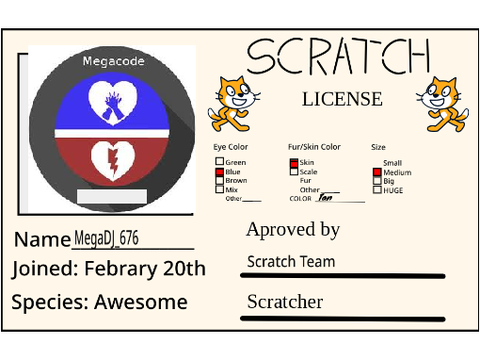 My Own Scratch License