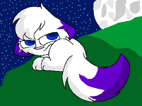 Talk to the tail CCE
