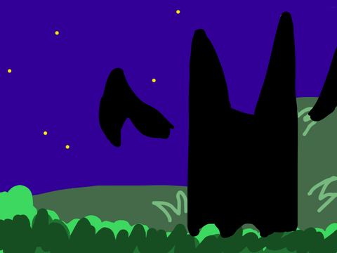 Star Night