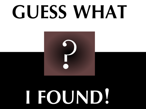 Guess what I found!