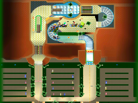 Add yourself in Wii Coconut Mall (12)