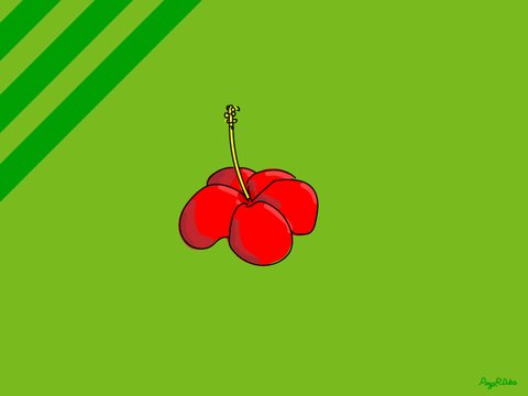 Hibiscus