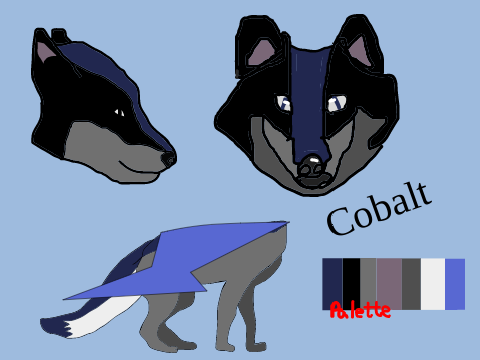 Cobalt Raffle