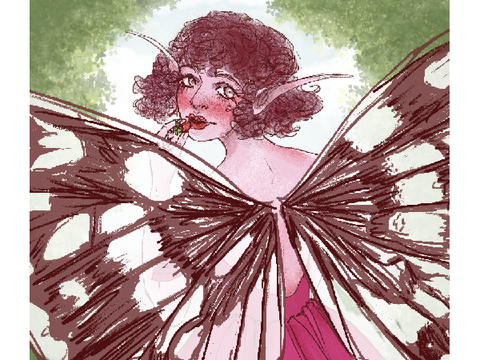 ・ﾟ✧ fairy lady ✧・ﾟ
