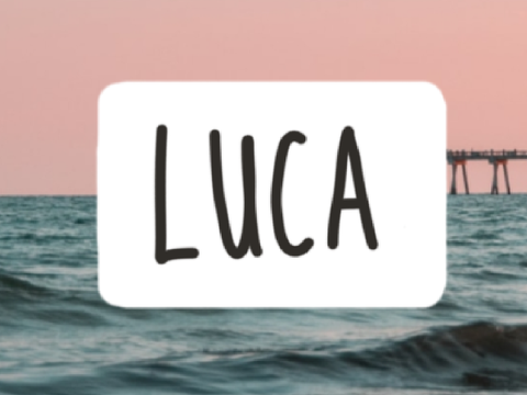 ⚓ luca fanart