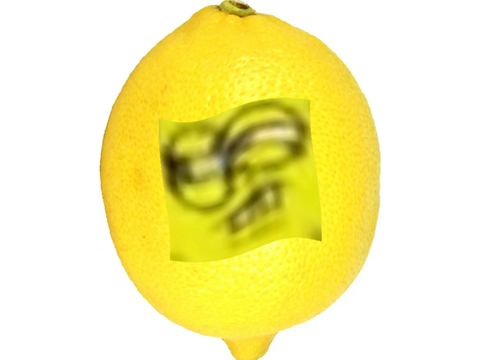 lemon.sb3