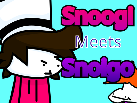 Snoogi Meets Snoigo