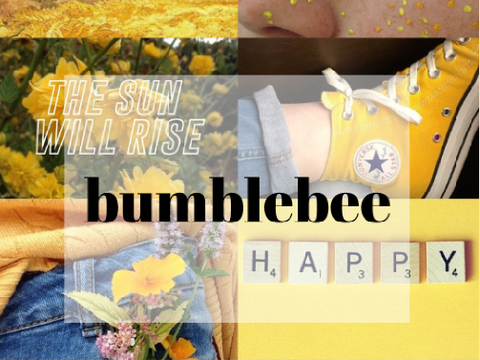 ☆ bumblebee ref ☆