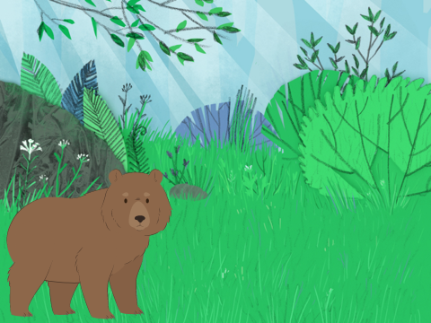 Transforming bear