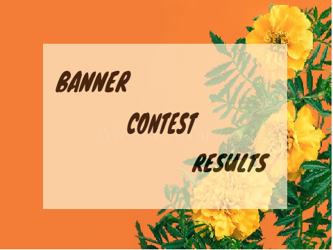 BANNER CONTEST RESULTS