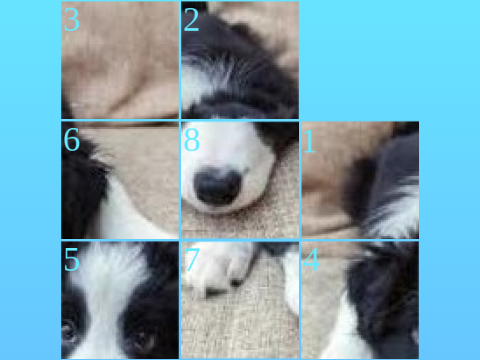 Border Collie Slide Puzzle