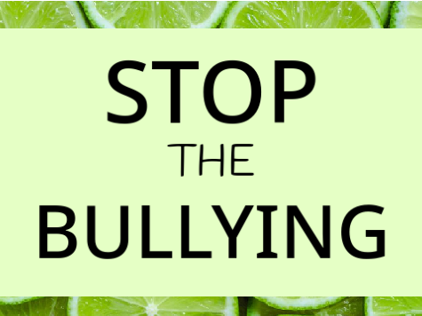 Stop Bullying! remix