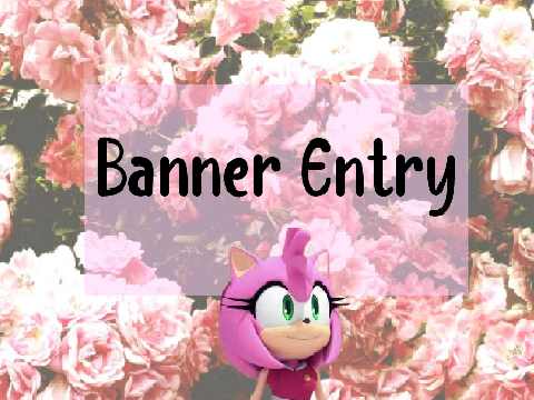 Banner Entry