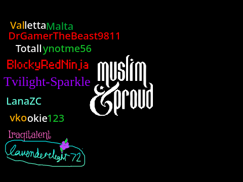 Sign if you are Muslim and PROUD! remix remix