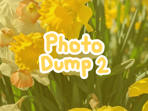 Photo Dump 2