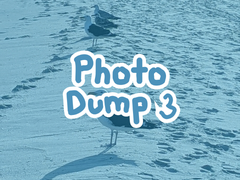 Photo Dump 3