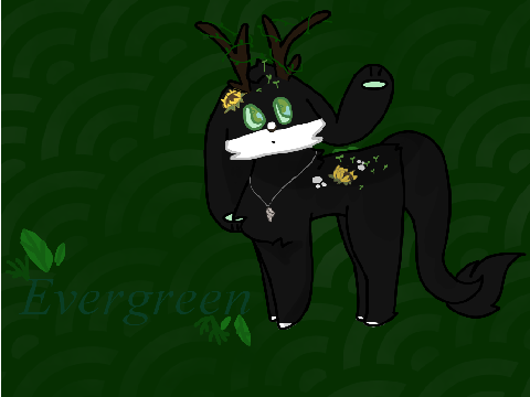 - Evergreen - Pupsprout -
