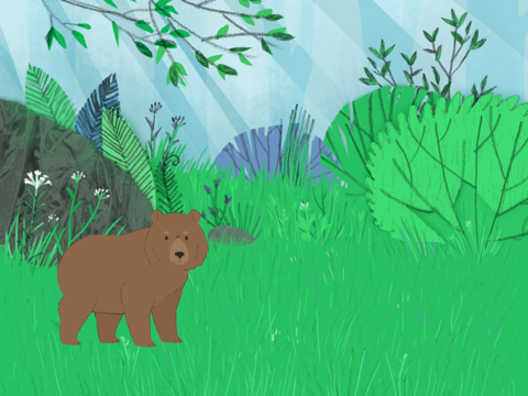 [YOU CHOOSE] Transforming bear