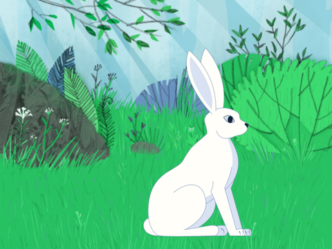 bunny clicker
