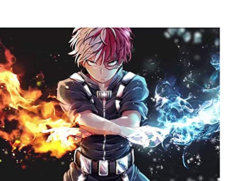 Shoto Todoroki number 1