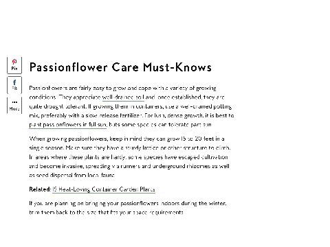 passionflower :D