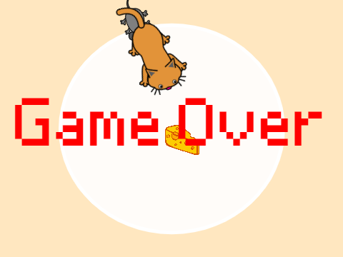 Chasing Cat Game