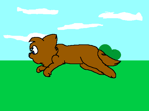 Cat running in the wild! (animation remix!)
