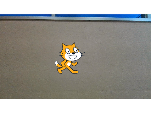 面白い猫