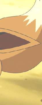 eevee ※