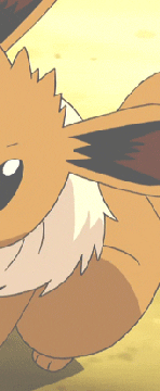 eevee ※ 