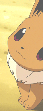 eevee ※  