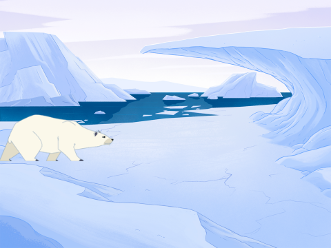 My first project Polar Bear