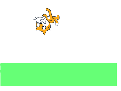 Cat and Mouse Basic 1