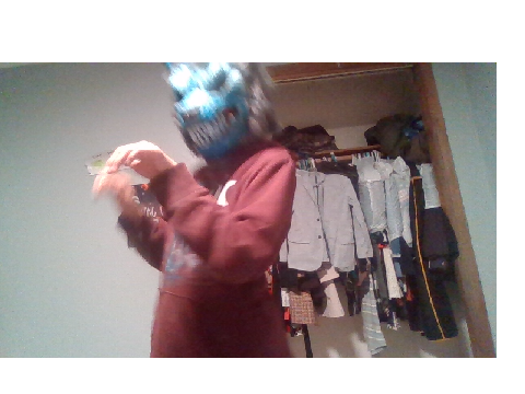 Fursuit head :o