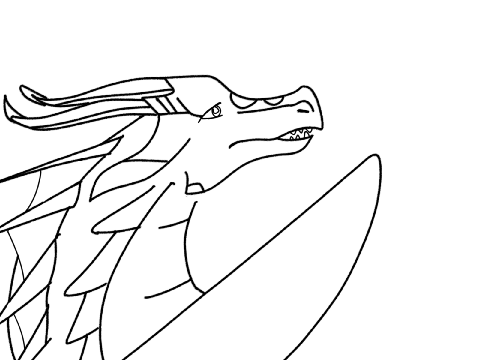 QFNG SPOILER
