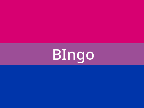 BIngo