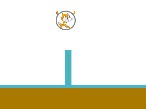 Cat run