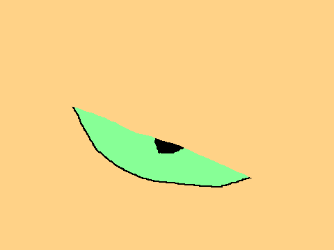Shinestar's eye