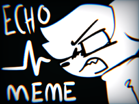 echo // meme (FLASH WARNING)