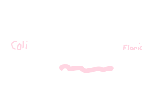 Earthworm Sally