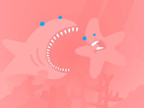 Catch The Starfish