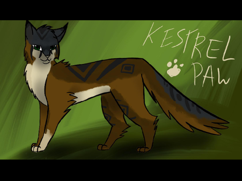 (for warriors rp) Kestrelpaw ref