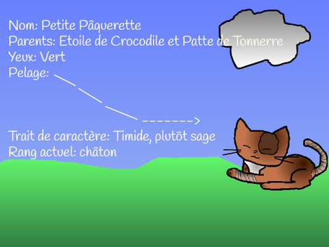Fiche de présentation pour Le Clan du Gravier
