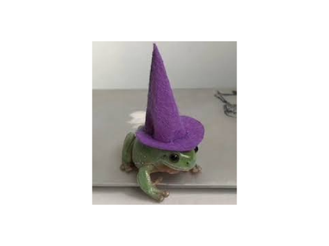 F r o g 